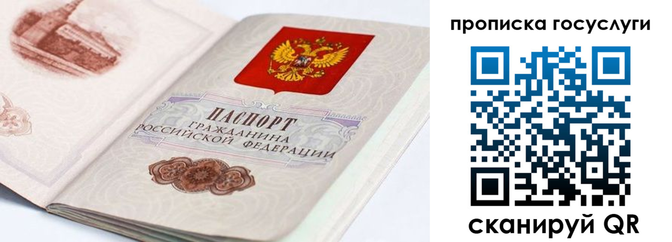 прописка регистрация в ЕАО